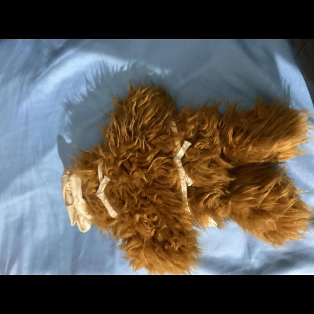 Alf - Picture 2 of 2